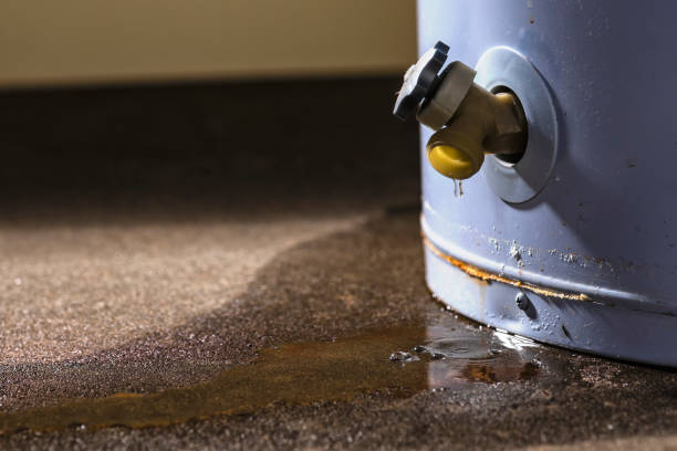Best Water damage cleanup near me  in Collegeville, PA