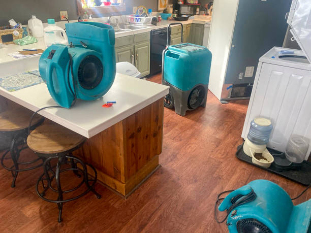 Best Water damage restoration near me  in Collegeville, PA