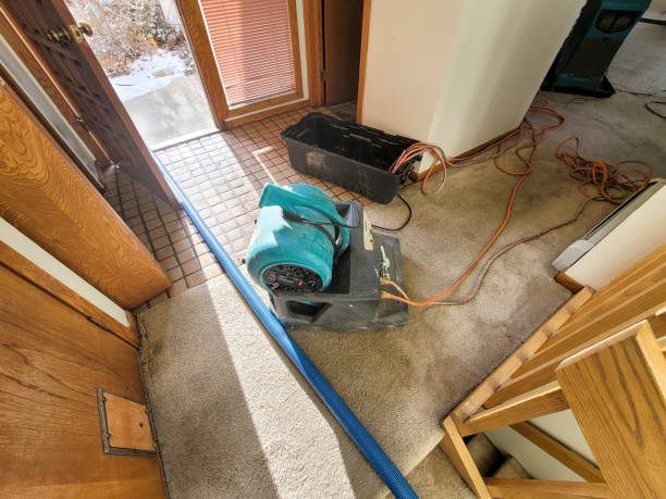 Best Basement water damage restoration  in Collegeville, PA