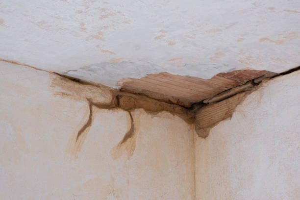 Best Fire Damage Restoration  in Collegeville, PA