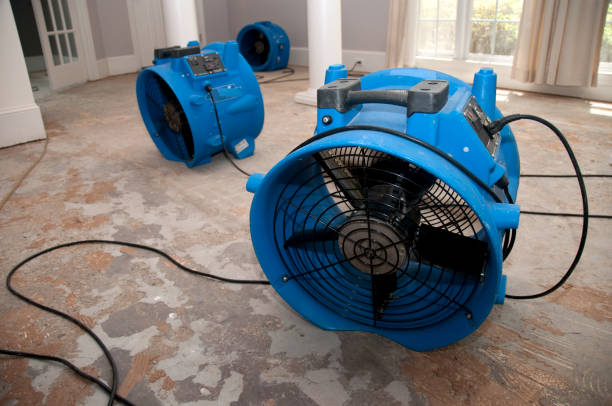 Best Water damage cleanup near me  in Collegeville, PA