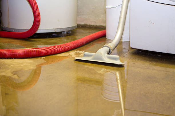 Best Flood damage cleanup  in Collegeville, PA