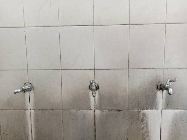 Best Carpet water damage restoration  in Collegeville, PA