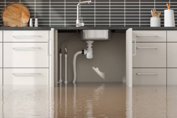 Best Professional water damage repair  in Collegeville, PA