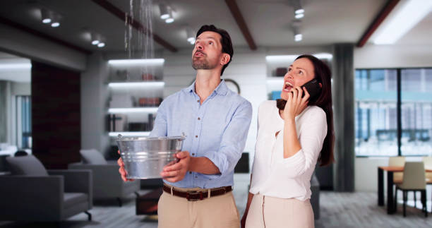 Best Local water damage restoration  in Collegeville, PA