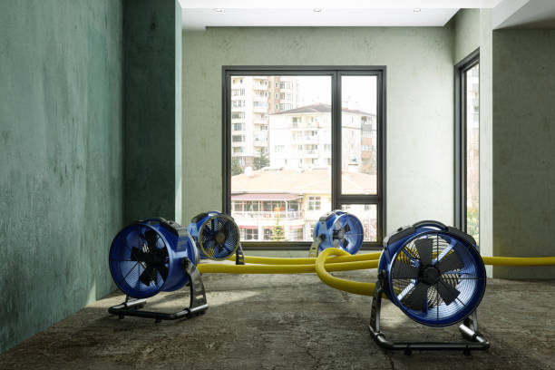Best Water damage restoration process  in Collegeville, PA